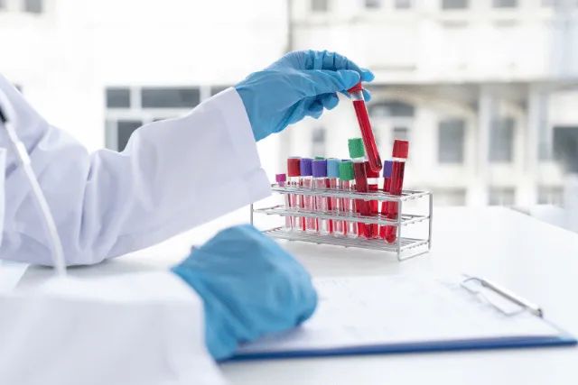 Prenatal Blood Tests Explained: Understanding First Trimester Testing